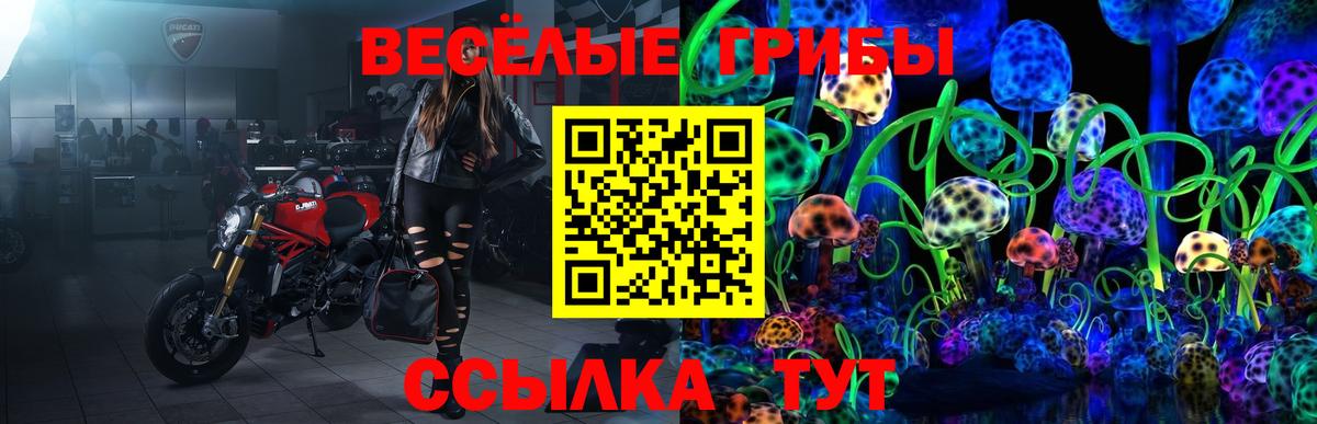 Галлюциногенные грибы Magic Shrooms Магадан