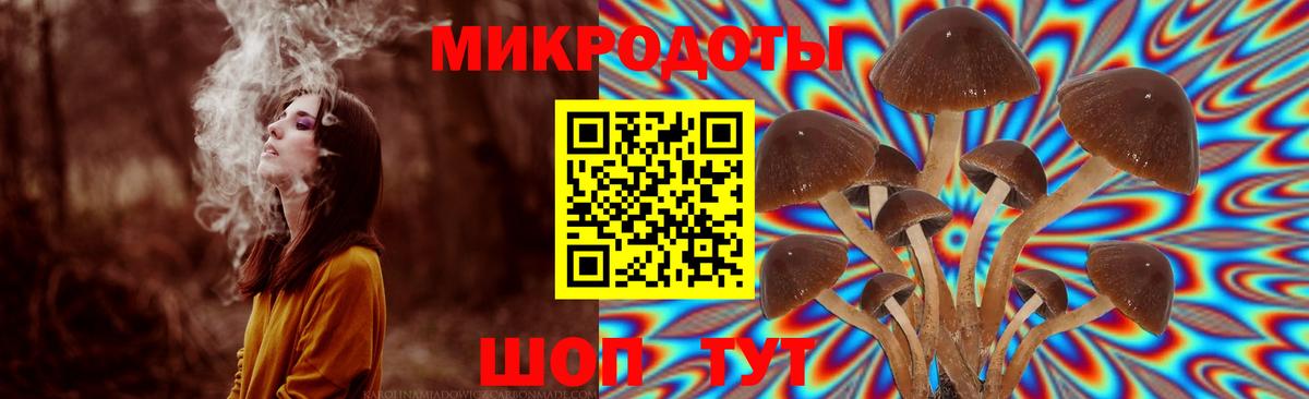 Магадан  купить наркотик  Вход с VPN  Псилоцибиновые грибы мухоморы  Галлюциногенные грибы MAGIC MUSHROOMS 